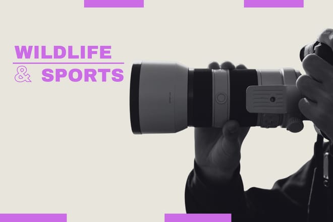 category Lenses Wildlife and Sport